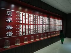 -青岛贝壳博物馆