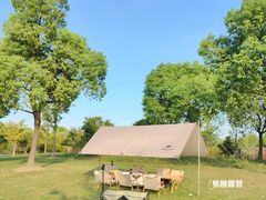 -顾村公园