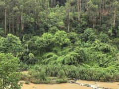 -长泰漂流水陆空景区