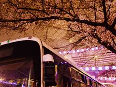 -上海南浦大桥长途旅游客运站