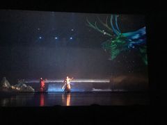 -合肥大剧院