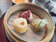 -随堂里