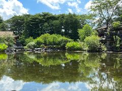 -顺峰山公园