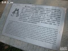 -南丫岛