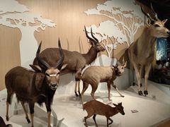 -陕西自然博物馆