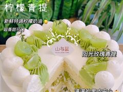 -山与蓝·轻糖鲜果蛋糕(勒泰店)