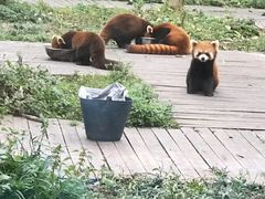 -仙芝竹尖生态园旅游景区