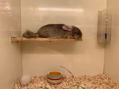 -龙猫仔乐园(惠福东路店)