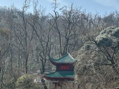 -岳麓山风景名胜区