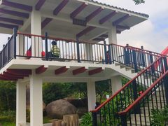 -玉树公园