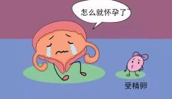 -邢台妇产医院