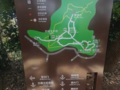 -上海佘山国家森林公园天马山园