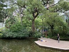 -九龙公园