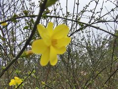 -眉山湿地公园(东坡区)