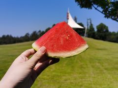 -嬉乐湾休闲旅游区