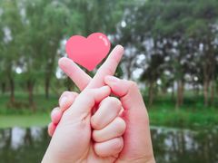 -昆山城市生态森林公园