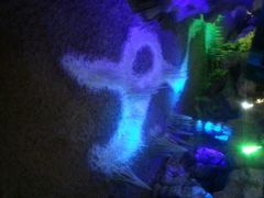 洞内-泰安地下龙宫景区