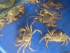 -阳澄湖大闸蟹·琼灵阁牌品牌连锁(吴中总店)