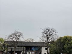 -田园东方蜜桃村的田野营地