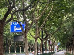 -杭州黄龙洞