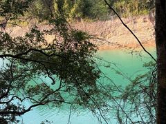 -广州市流溪河国家森林公园