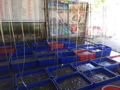 -幸福姐海鲜大排档