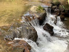 -莫里热带雨林景区