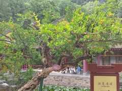 -华清宫景区