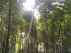 -杭州黄龙洞