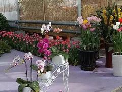 iphone_upload_pic-北京植物园-展览温室