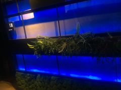 -音乐派KTV(银泰城店)
