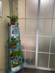 -薇兰专业脱毛连锁机构