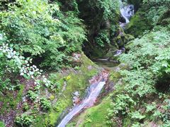 -牛背梁国家森林公园