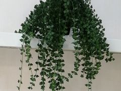 -海之声助听器佛山旗舰店(华麟大厦店)