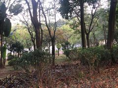 -深圳龙潭公园