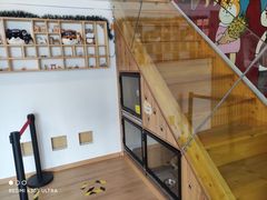 -南京Hallo宠物乐园·哈罗犬舍·柴犬繁育基地