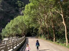 -宁波五龙潭景区