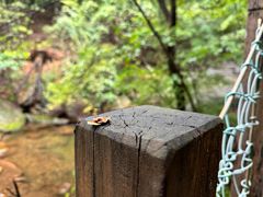 -丹东天桥沟景区