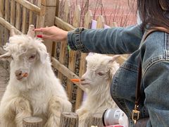 -水上乐园·欢乐世界