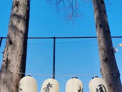 -云间粮仓