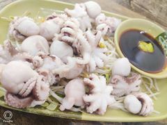 -贞姨美食·老字号海鲜大排档