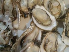 -兴隆海鲜菜馆