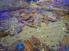 -澜悦港海鲜体验主题餐厅