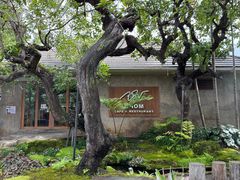-Chom Cafe and Restaurant