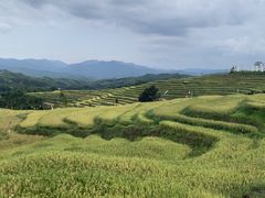 -牙胡梯田