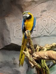 -Zoolung Zoolung动物主题公园(海信广场店)