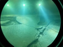 -白鹤梁水下博物馆