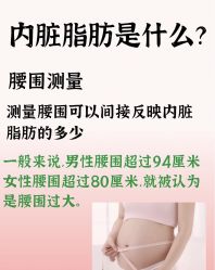 -Fundi张玉珊修身堂·indiba·BTL科技瘦身