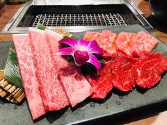 -俺的焼肉(銀座9丁目店)