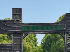 -溱湖国家湿地公园